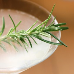 Rosemary & Mint Martini