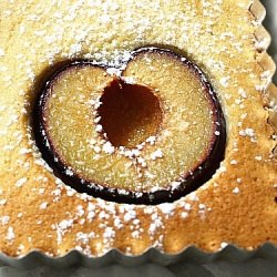 Almond Plum Tart~