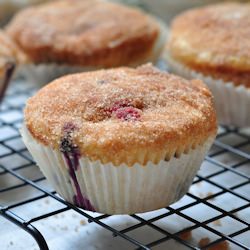 Blueberry Sugar Donut Muffins
