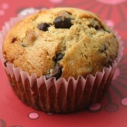 Chocolate Chip Muffins