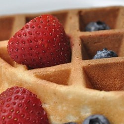 Classic Belgain Waffles