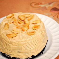 Chocolate Peanut Butter Mini Cakes