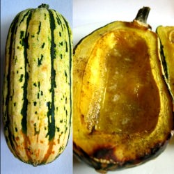 Sweet Potato Squash