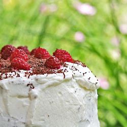 Dutch Chocolate Torte