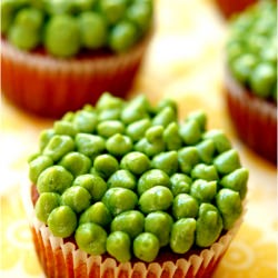 A cupcake experiment