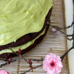 Chocolate Avocado Cake w avo icing