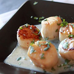 Scallops with vanilla cream sauce