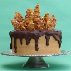 Chocolate Peanut Butter Salute