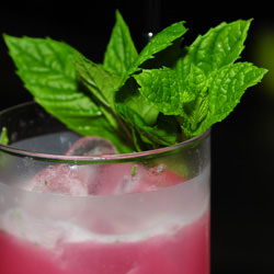 Grapefruit Julep