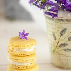Lemon Mascarpone Macarons