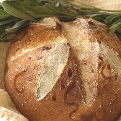 Sage and Espresso Decorated Bread