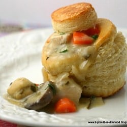 DB 8-09 Vol Au Vents