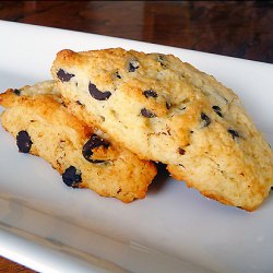 Dark Chocolate Chip Scones