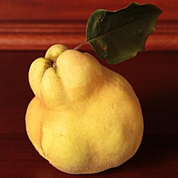 Quince Spice Cake