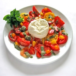 Tomatoes and Burrata