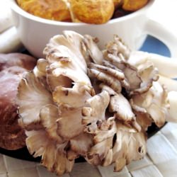 Mushroom Bounty