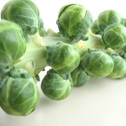Warm Brussels Sprout Salad