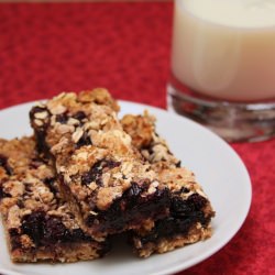 Blueberry Oatmeal Bars