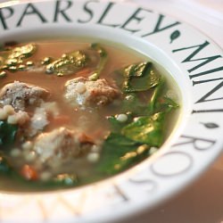 Ina’s Italian Wedding Soup~