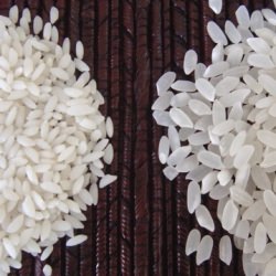 Tiny Rice