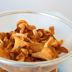 Chanterelle Mushrooms