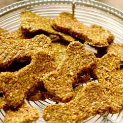 Lukes Kitchen Sink Treats