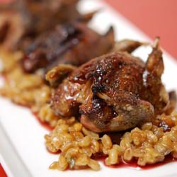 Grilled Doves on Farro