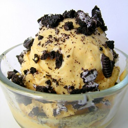 Pumpkin Ice Cream