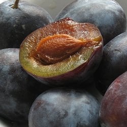 Italian Plum Cake