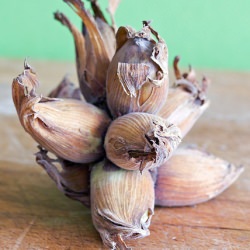 Cobnuts