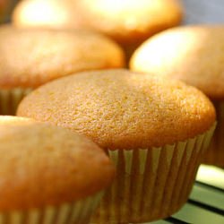 Pumpkin Muffins