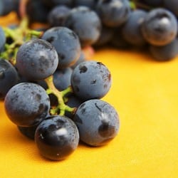 Concord Grape Galette