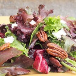 Autumn Salad