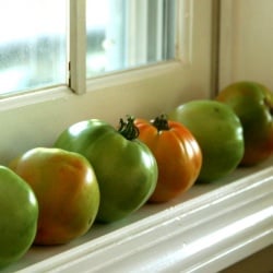 Fried Green Tomatoes