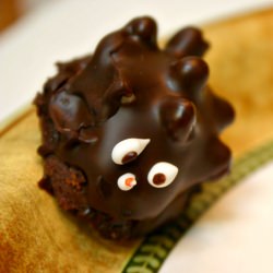 Chocolate Hedgehog on the Run