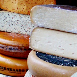 Delicious Cheese