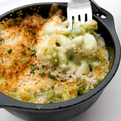 Quintessential Mac & Cheese Roundup