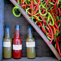 Hot Peppers