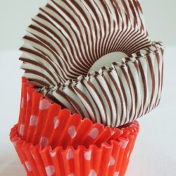 Mini Muffin Cups