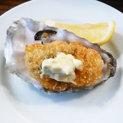 Oyster New Orleans