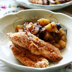 Oven Baked Yoghurt Chicken Strips