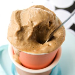 Tofu Latte Spice Cream