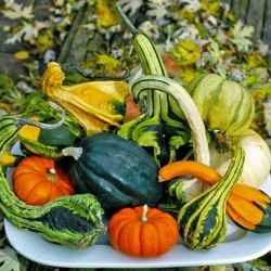The Flavors of Fall