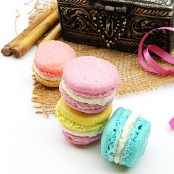 FRENCH MACARONS with the DBs!