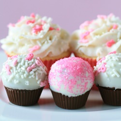 Cupcakes and Cupcake Bites