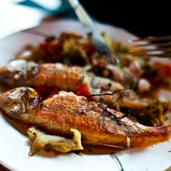 Red Mullet