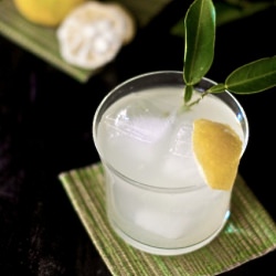 Yuzu Cocktail Recipe