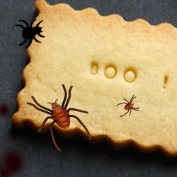 Halloween Sugar Cookies