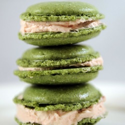 Sencha Macarons