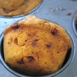 Pumpkin Cinnamon Muffins